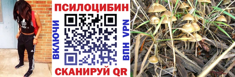 Галлюциногенные грибы Cubensis  Агидель 